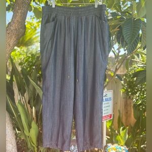 INC International Concepts Blue Straight Leg Crop Pants Size 16W
